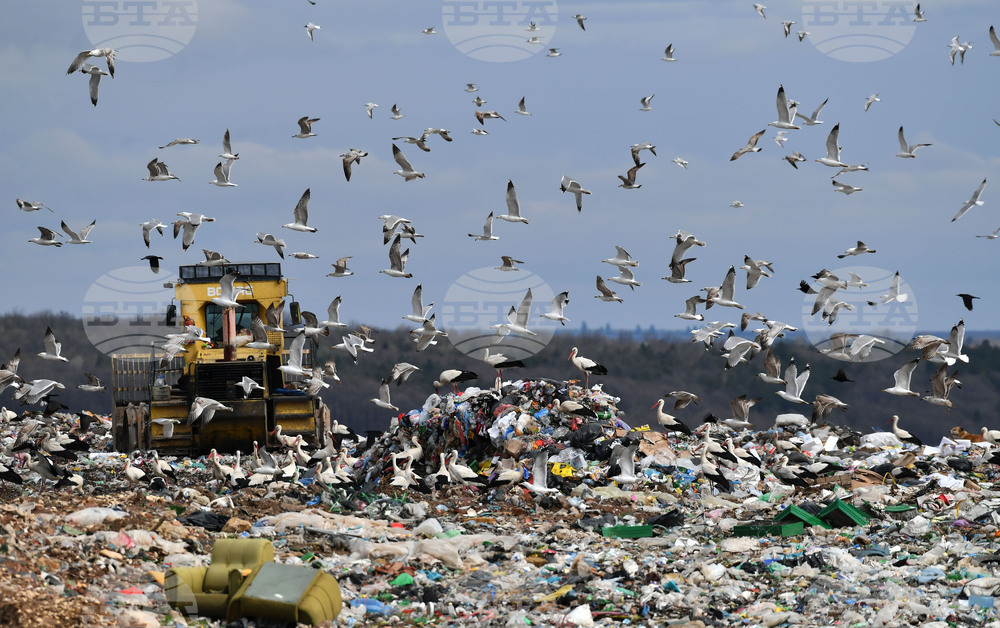 Село Ясеновец - депо за отпадъци - птици