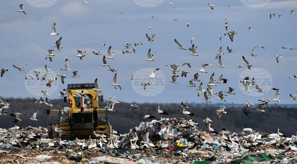 Село Ясеновец - депо за отпадъци - птици