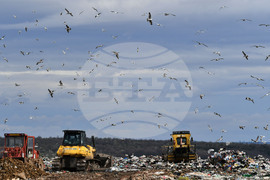 Село Ясеновец - депо за отпадъци - птици