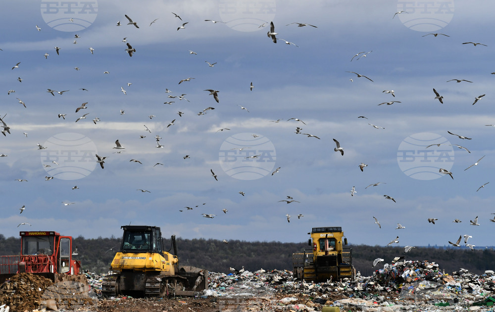 Село Ясеновец - депо за отпадъци - птици