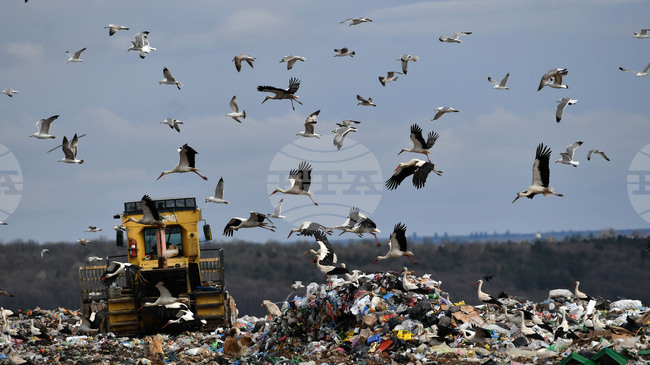Румъния рециклира само 1,3 процента от отпадъците си, заяви министърката на околната среда
