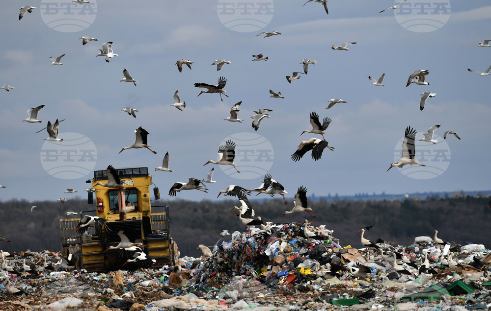 Румъния рециклира само 1,3 процента от отпадъците си, заяви министърката на околната среда