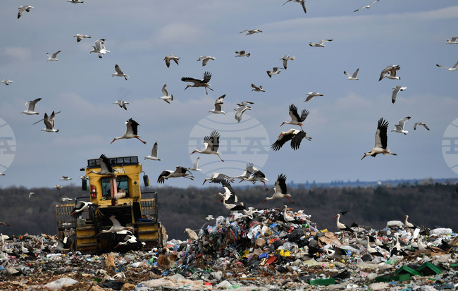 Румъния рециклира само 1,3 процента от отпадъците си, заяви министърката на околната среда