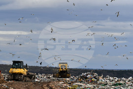 Село Ясеновец - депо за отпадъци - птици