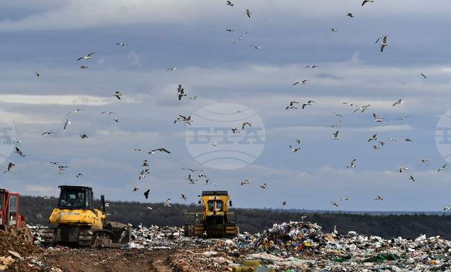 Хранителните отпадъци могат да бъдат резервоар и дори ускорител за антимикробната резистентност, сочи доклад на ФАО