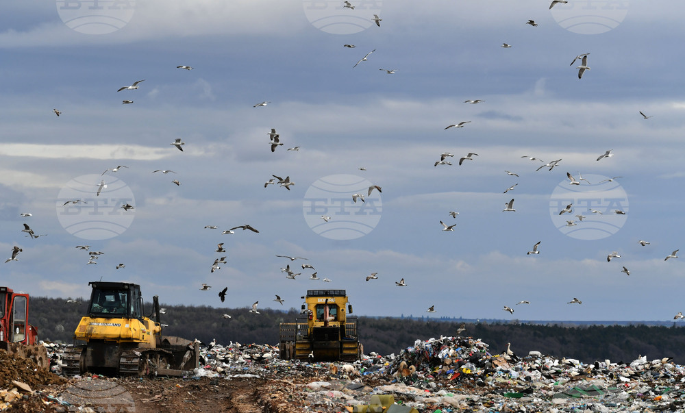 Село Ясеновец - депо за отпадъци - птици
