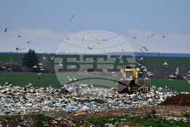 Село Ясеновец - депо за отпадъци - птици