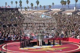 Marines Celebration Investigation