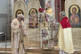 Швейцария - митрополит Антоний - Лазаровден и Цветница