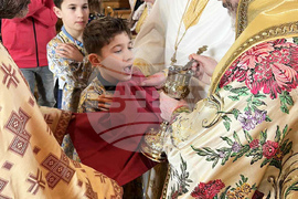 Швейцария - митрополит Антоний - Лазаровден и Цветница