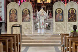 Швейцария - митрополит Антоний - Лазаровден и Цветница