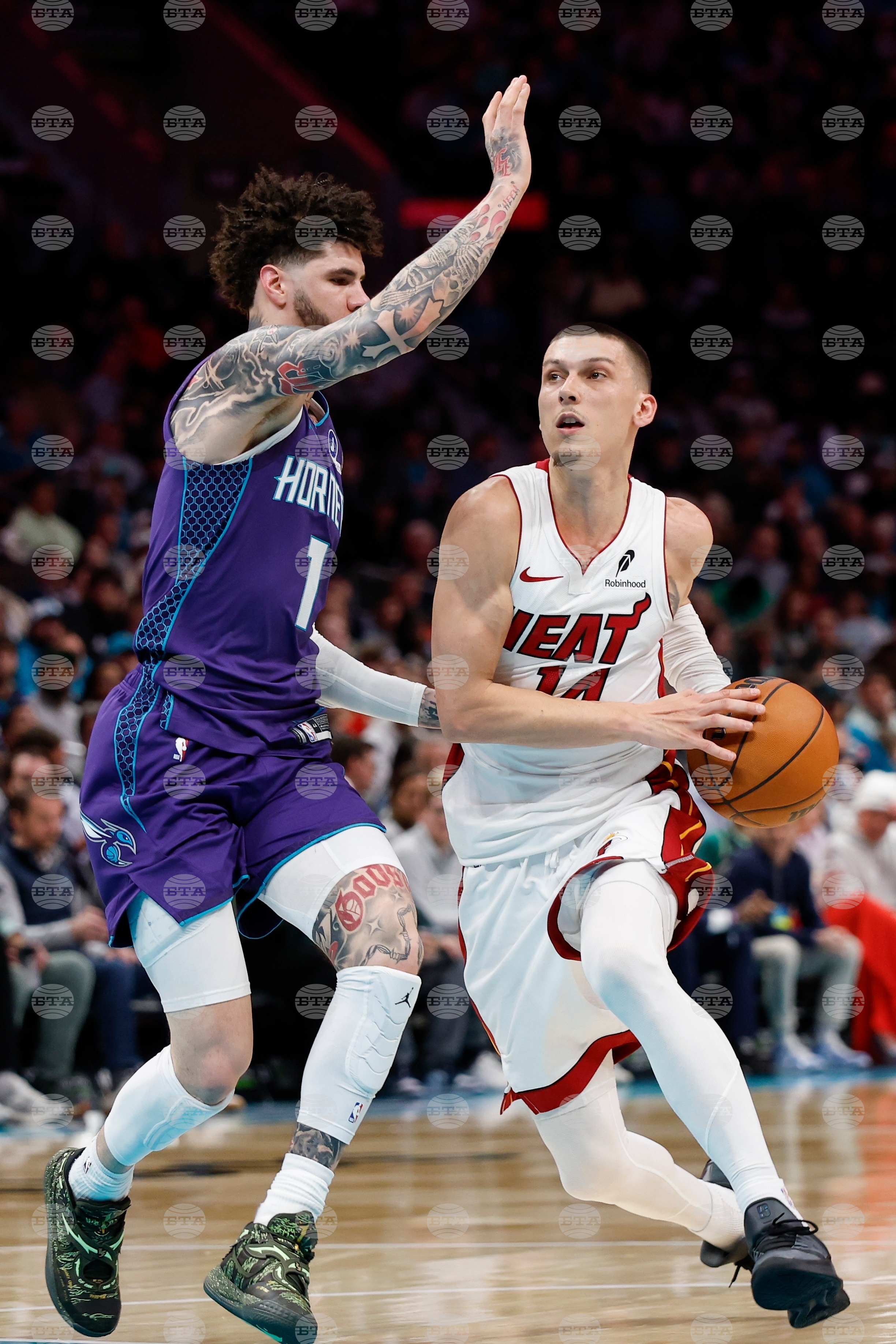 Heat Hornets Basketball