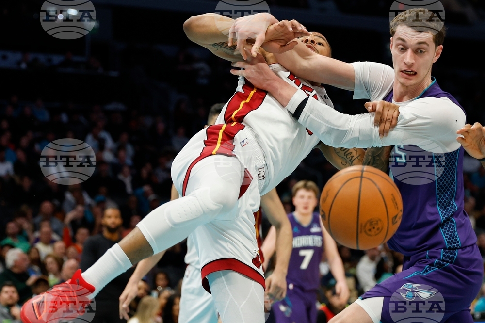 Heat Hornets Basketball