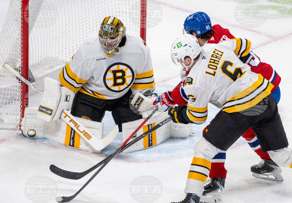 Bruins Canadiens Hockey