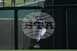Athletics White Sox Spring Baseball