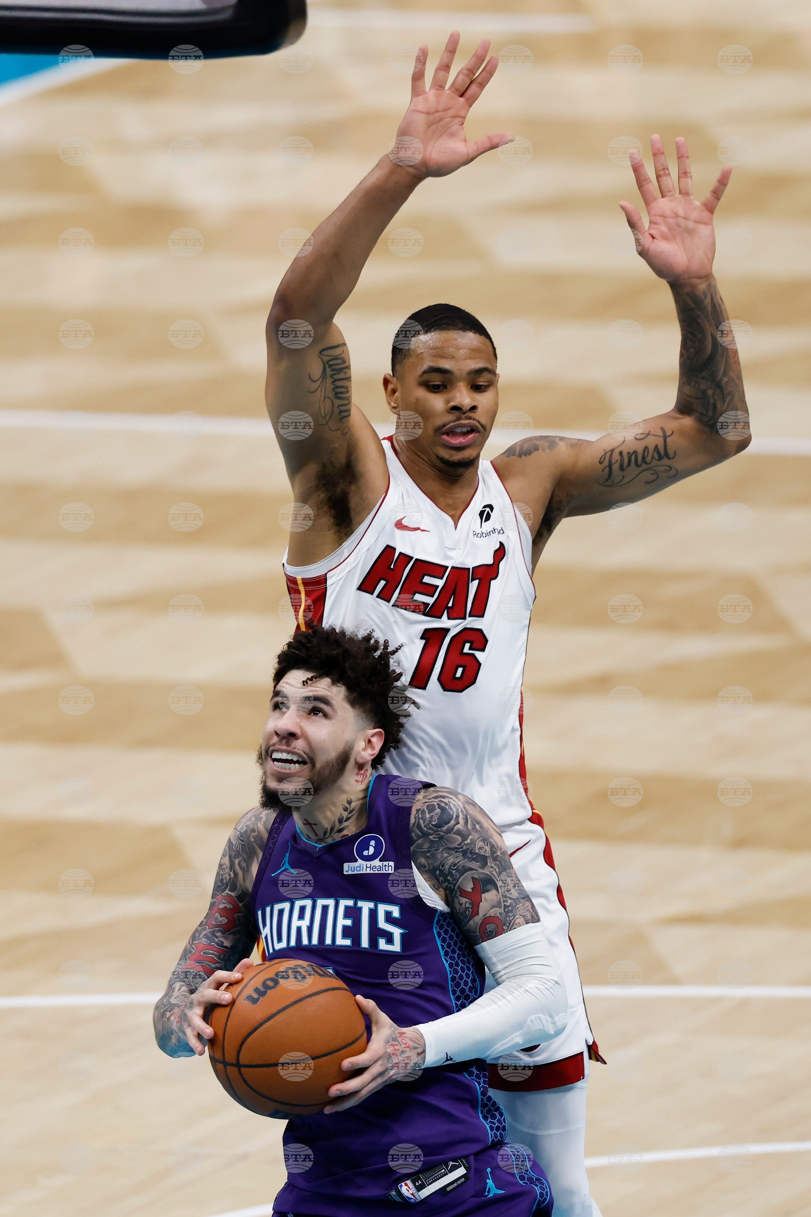 Heat Hornets Basketball