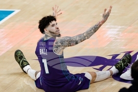 Heat Hornets Basketball
