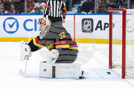 Panthers Canucks Hockey