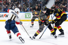 Panthers Canucks Hockey