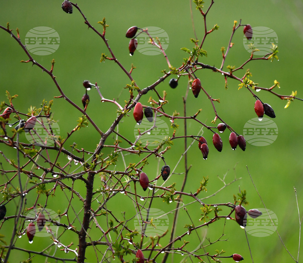 Разград - дъждовно време