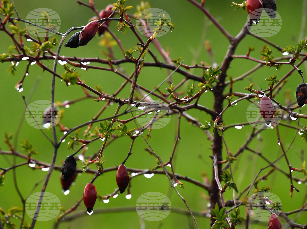 Разград - дъждовно време