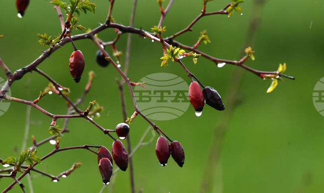 Разград - дъждовно време