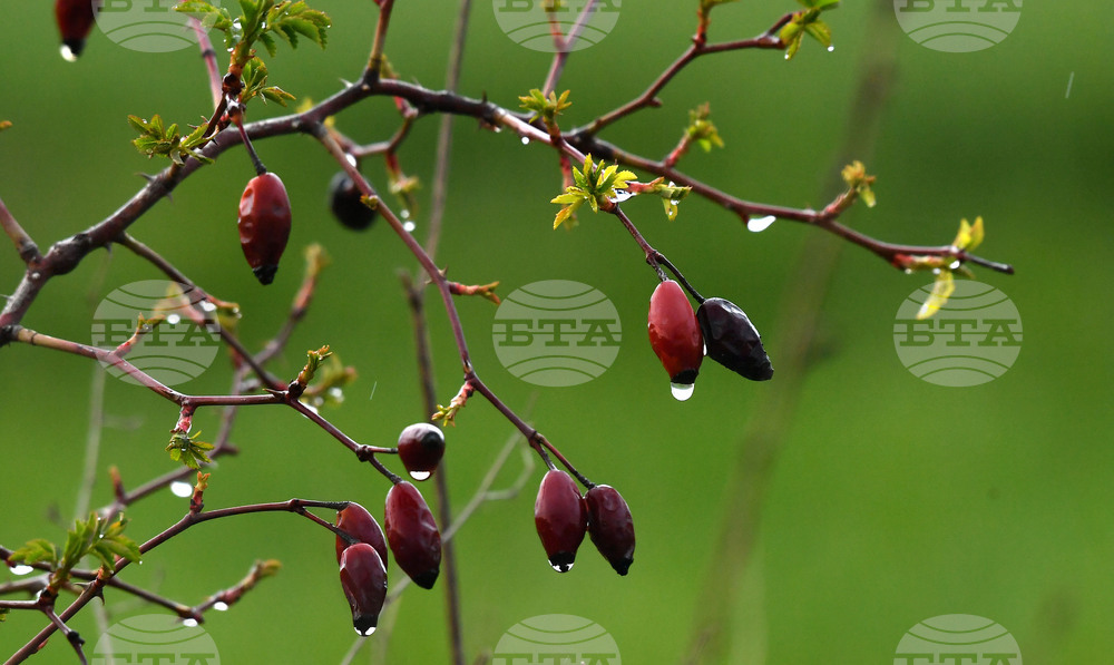 Разград - дъждовно време