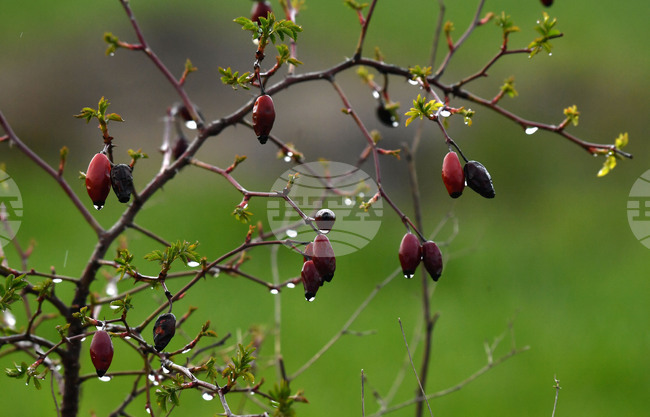 Не са добри условията за туризъм в планините, казаха от Планинската спасителна служба на БЧК