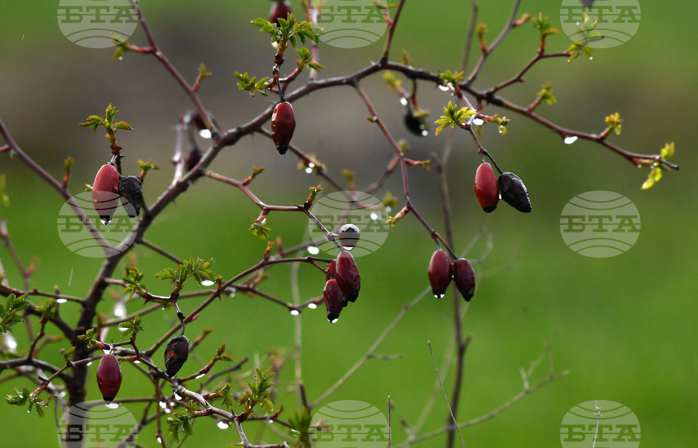 Разград - дъждовно време