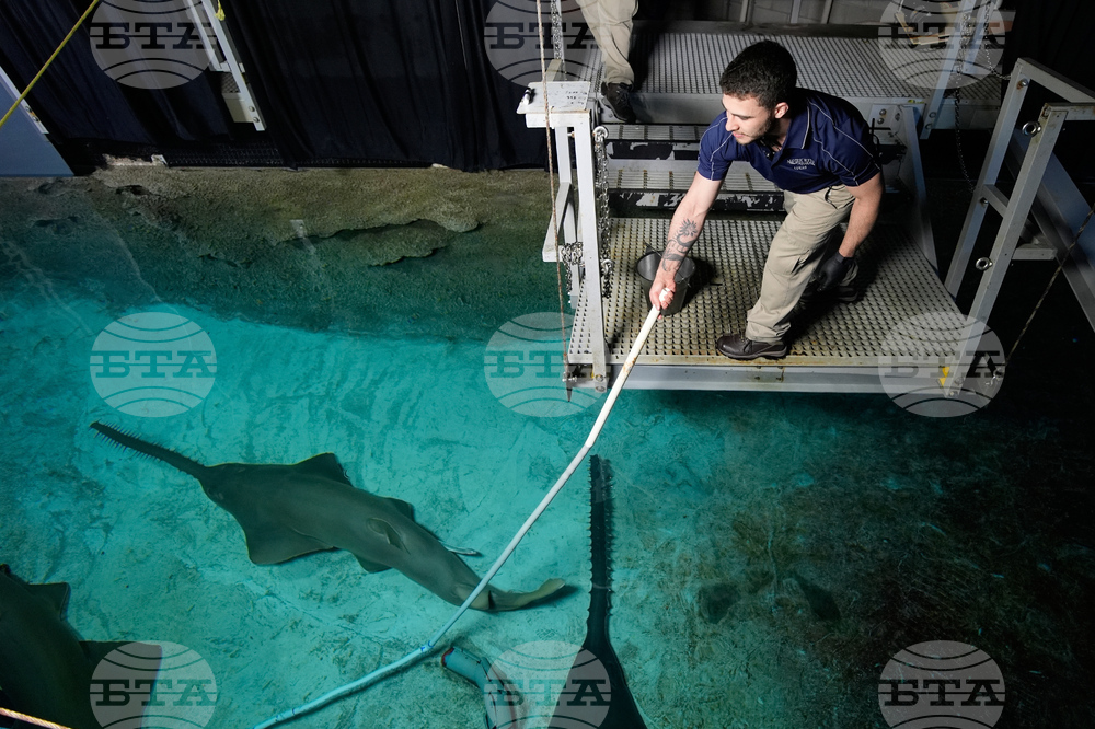 Vegas Shark Dietitians