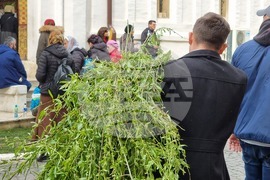 Румъния - литийно шествие “Процесия на цветята” в Букурещ
