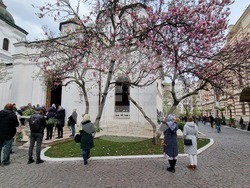 Румъния - литийно шествие “Процесия на цветята” в Букурещ
