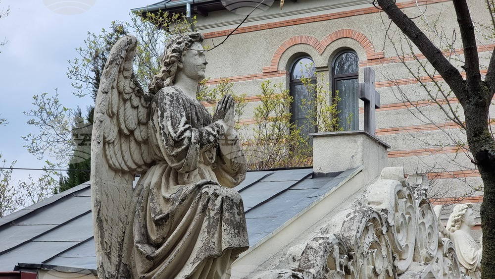 Румъния - литийно шествие “Процесия на цветята” в Букурещ