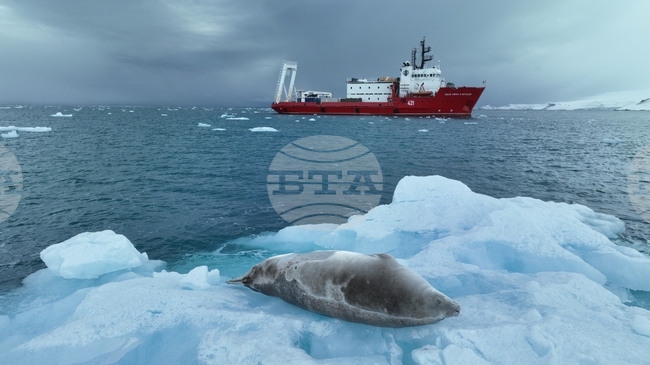 Antarctica through the Eyes of the RSV 421 Crew