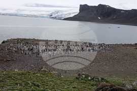 Antarctica through the Eyes of the RSV 421 Crew
