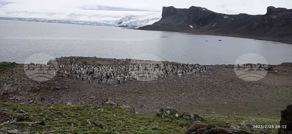 Antarctica through the Eyes of the RSV 421 Crew