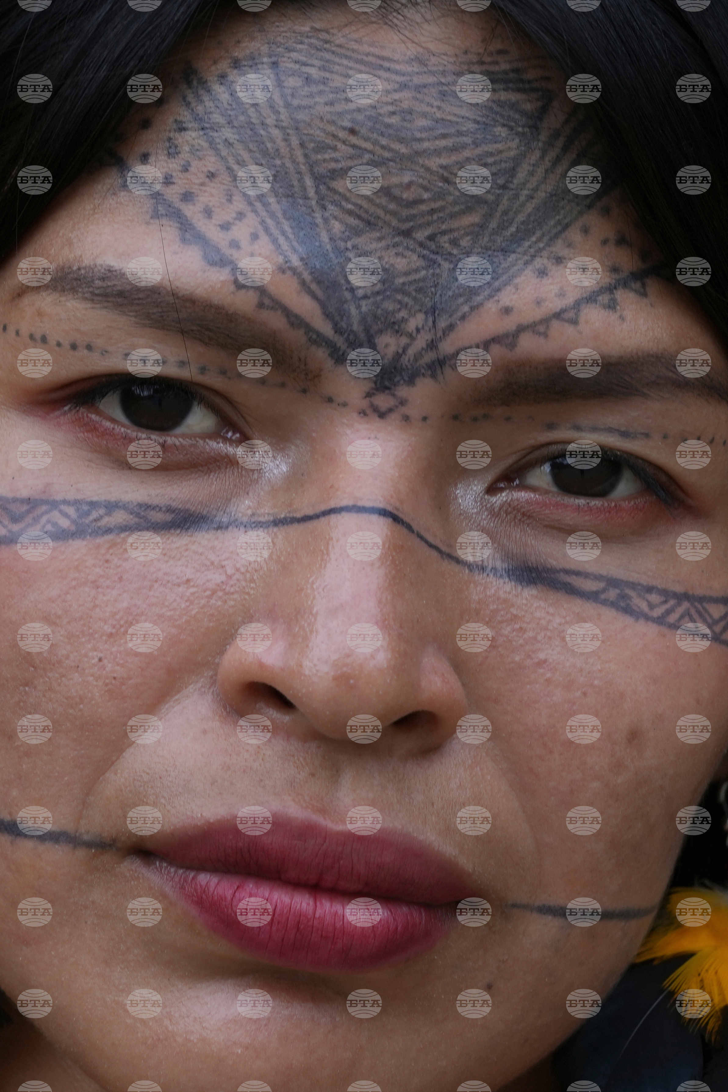 Top Vertical Photos Photo Gallery