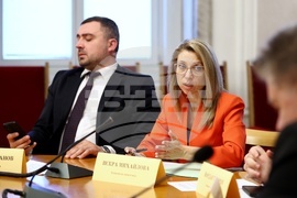 Народно събрание - Комисия по енергетика