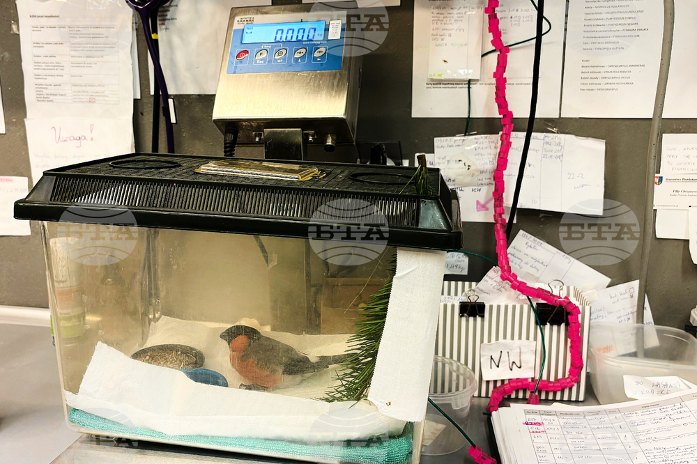 Poland Bird Hospital