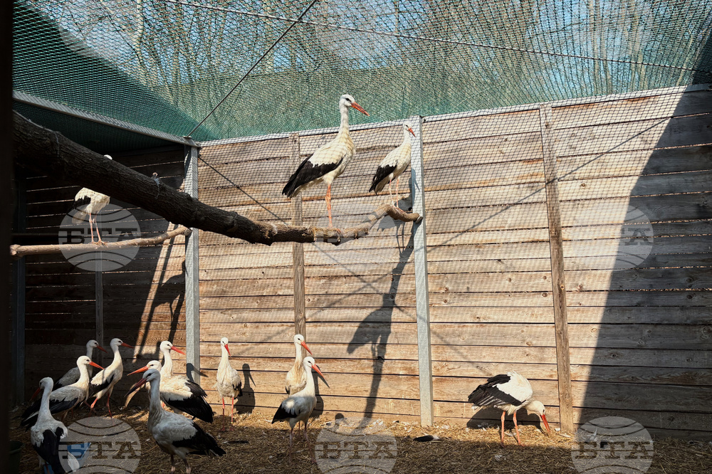 Poland Bird Hospital