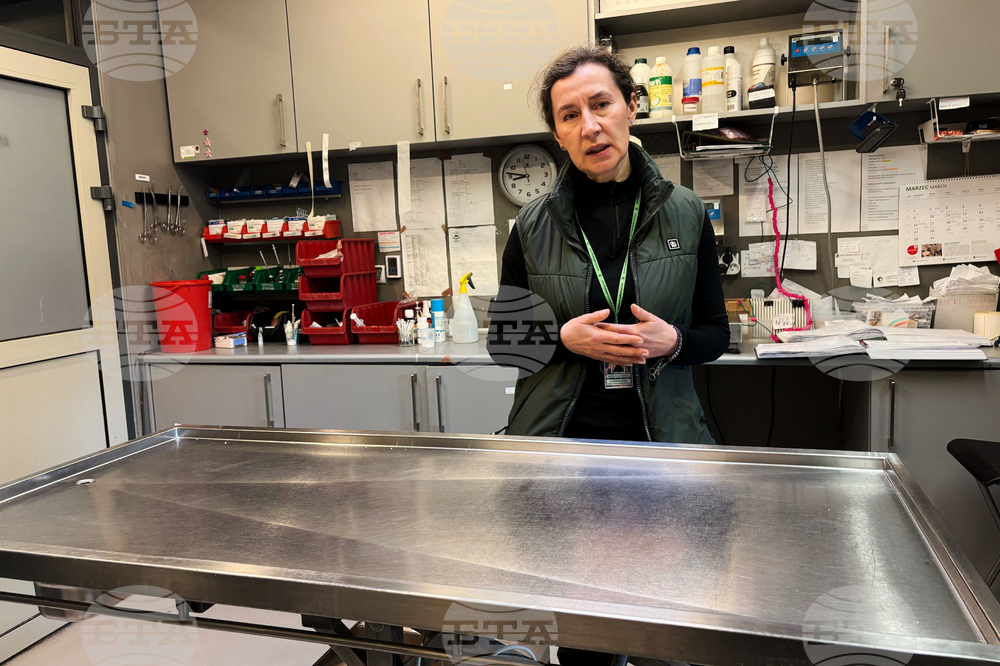 Poland Bird Hospital