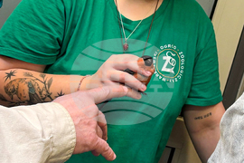 Poland Bird Hospital