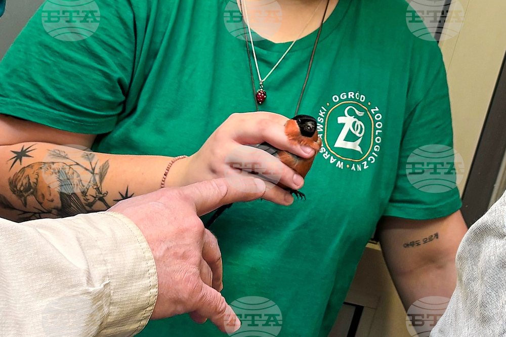 Poland Bird Hospital