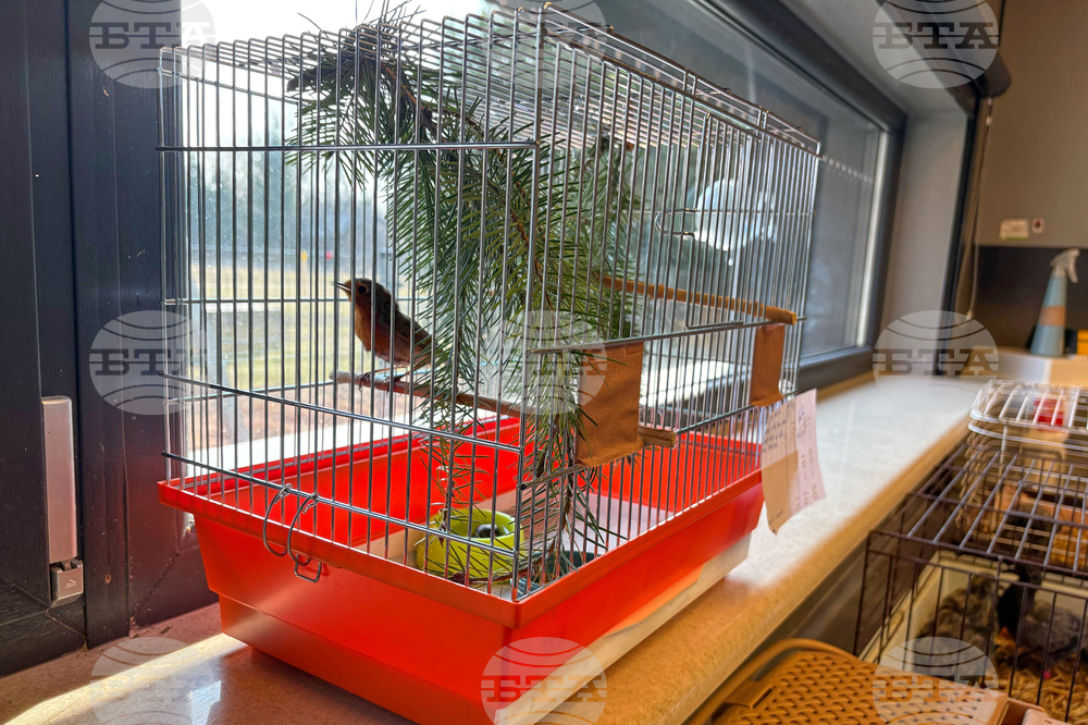 Poland Bird Hospital