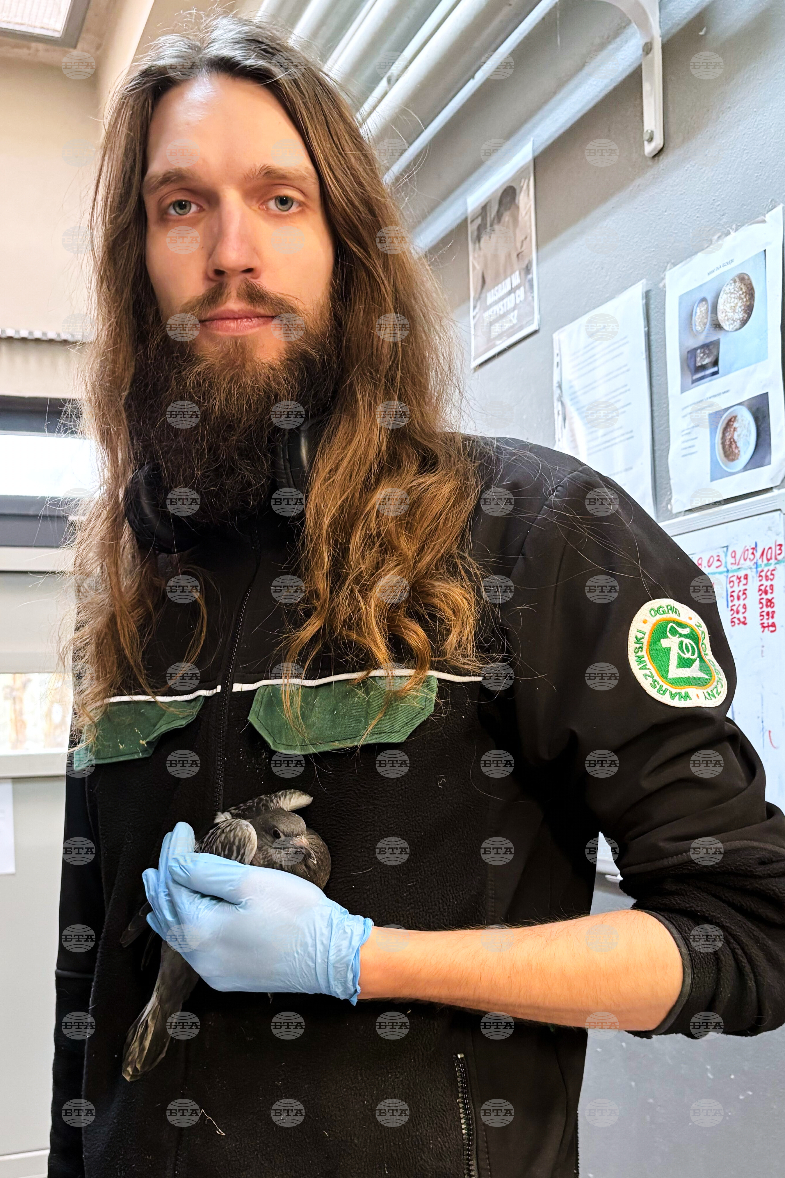 Poland Bird Hospital