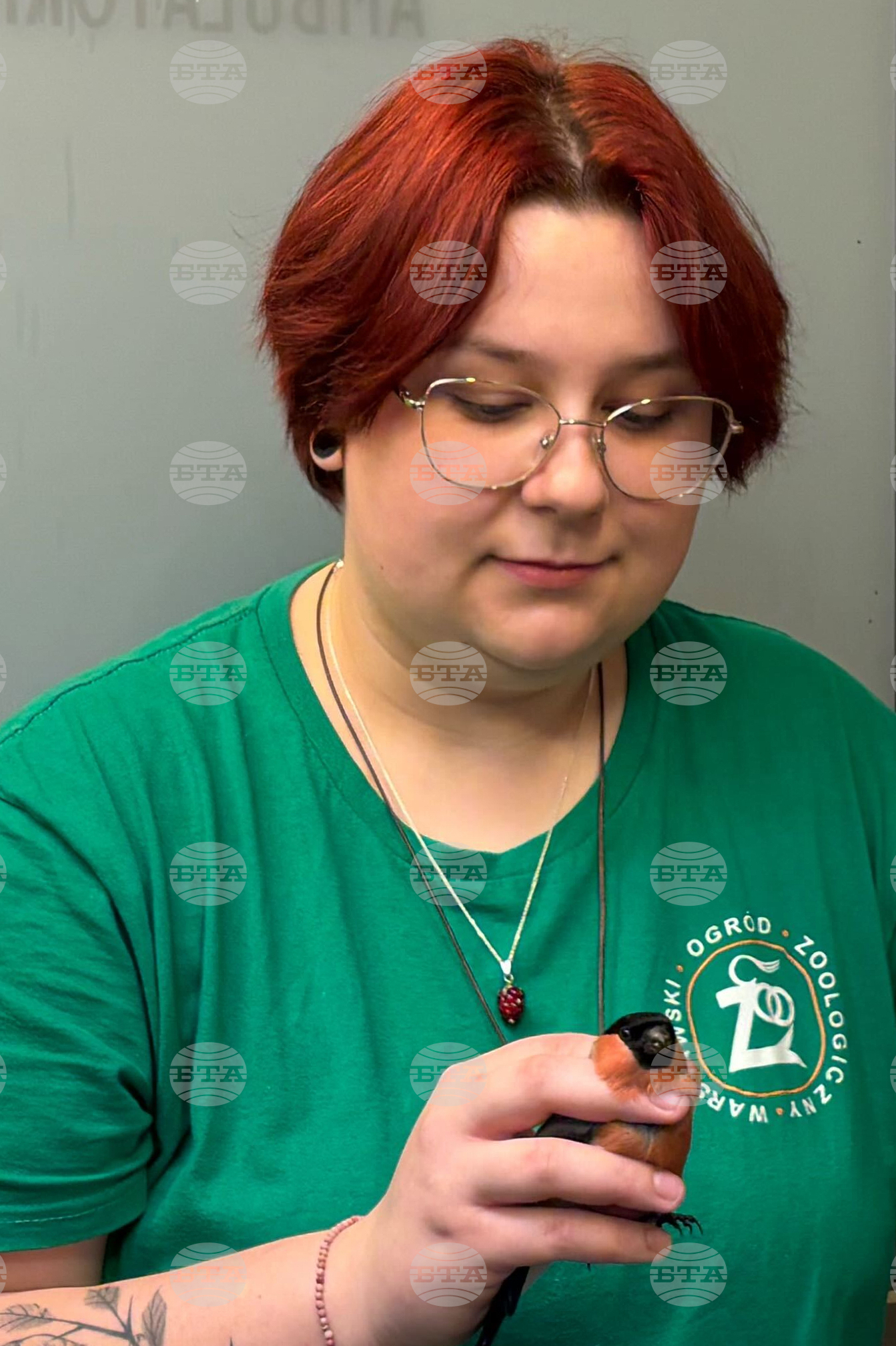 Poland Bird Hospital