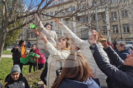 Разград - Световен ден на социалната работа - отбелязване