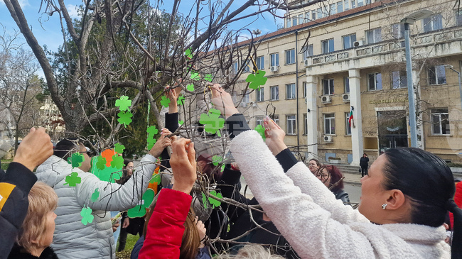 Дървета в Разград се преобразиха с детелини по повод Световния ден на социалната работа