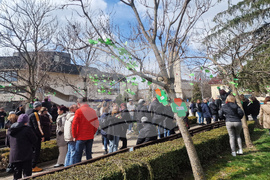 Разград - Световен ден на социалната работа - отбелязване