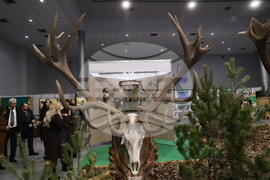 Пловдив - Международно изложение "Природа. Лов. Риболов" 2026 - откриване